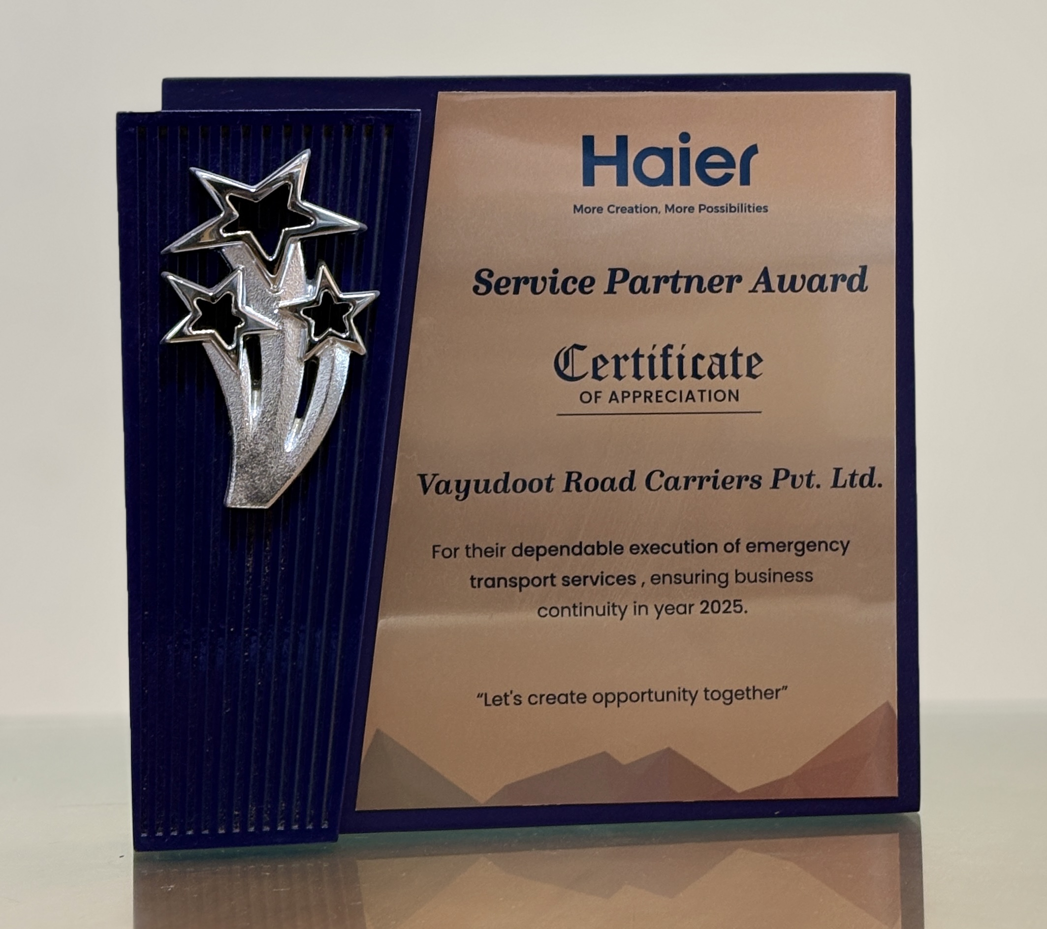 Haier Service Partner Award